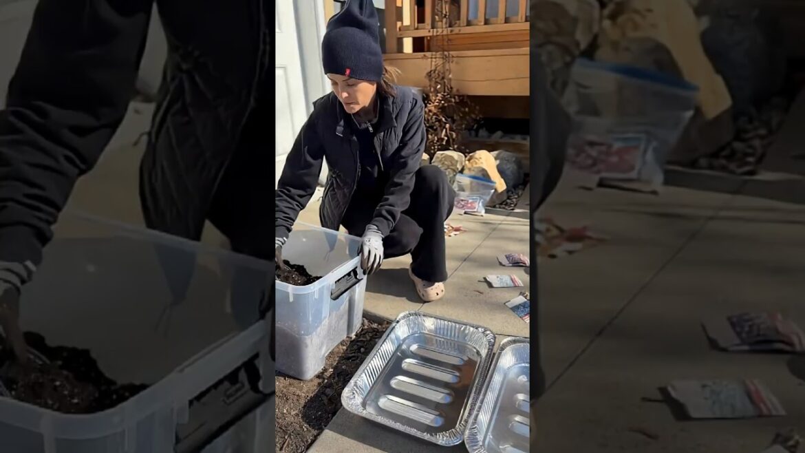 Your Boring Tasks are Content  #creatorjourney