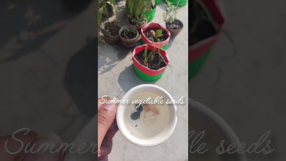 Aaj summer vegetable seeds lgaye egg tray me 🍀🍀 #harvesting # grow #gardening #vital #gardening Aaj summer vegetable seeds lgaye egg tray me 🍀🍀 #harvesting # grow #gardening #vital #gardening