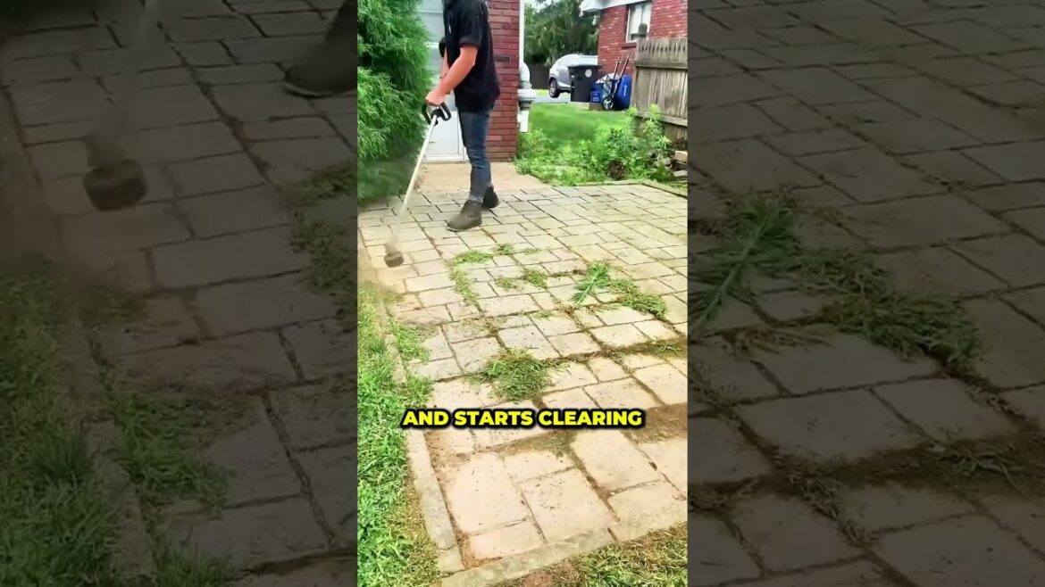 Cleaning a Mossy Front Yard in a Satisfying Way! 🧽🔥 (@abundantlawnandgarden)