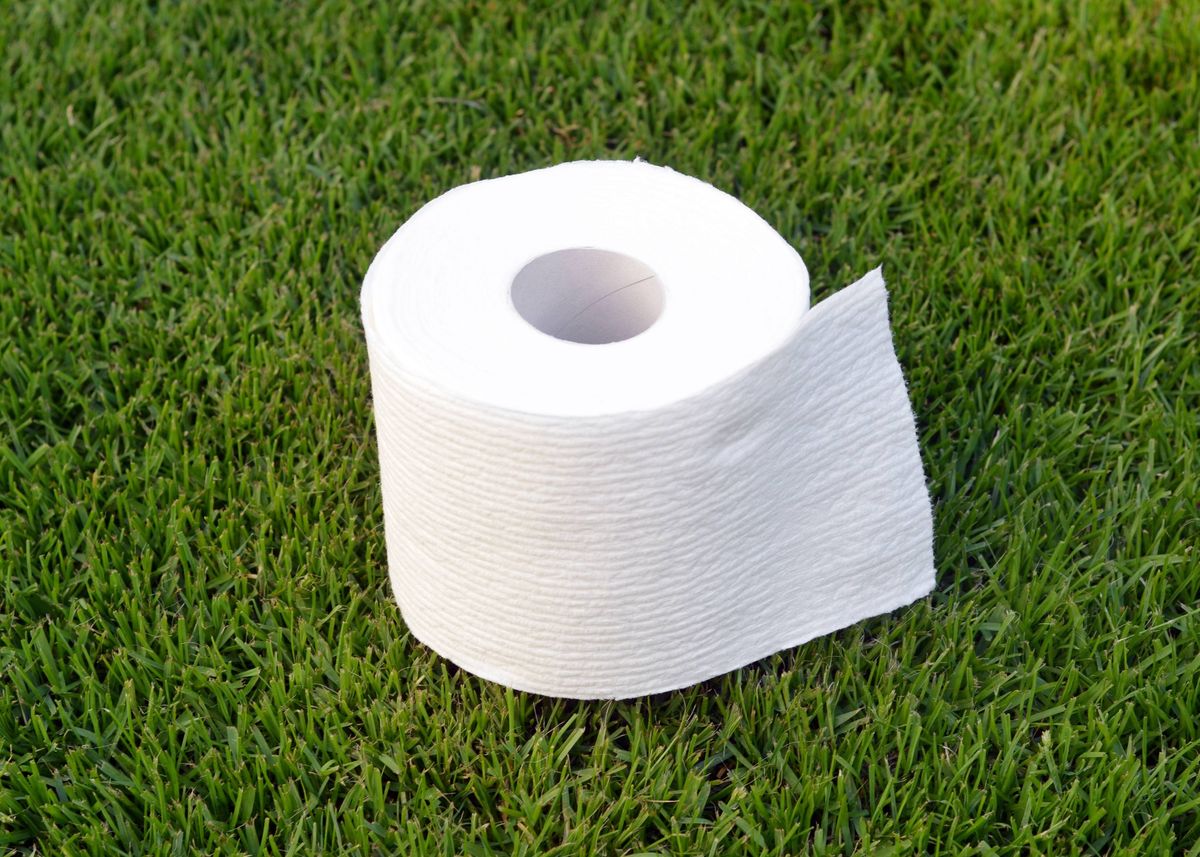 Closeup of a roll of toilet paper on a lawn in the great outdoors symbolizing the call of nature in the wild.