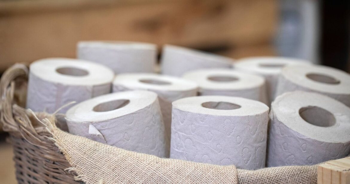 Gardeners urged to hold on to this one piece of rubbish to help seedlings thrive this spring
