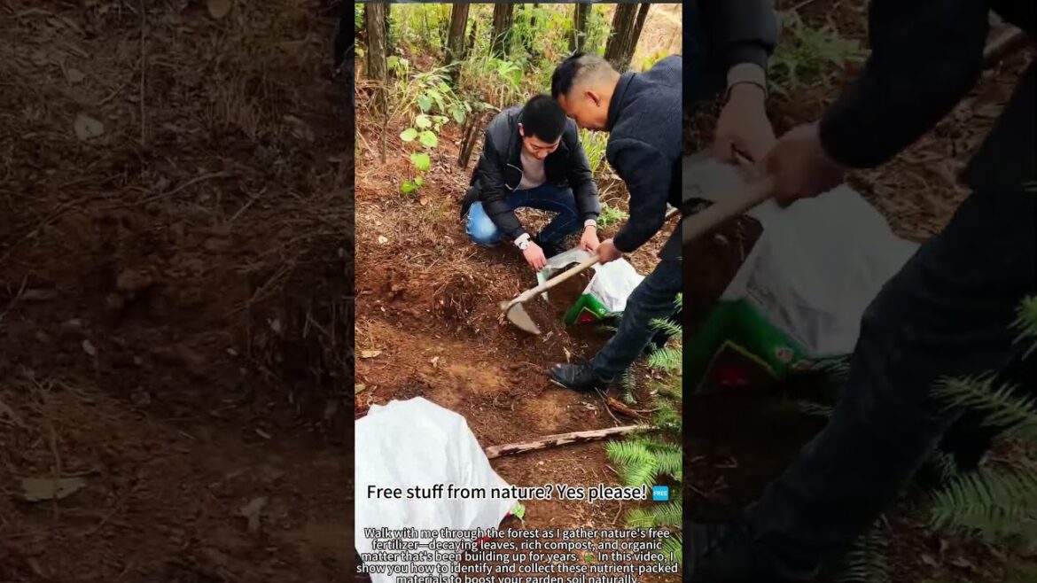 Free fertilizer hiding in the forest! πΏπ Free fertilizer hiding in the forest! πΏπ