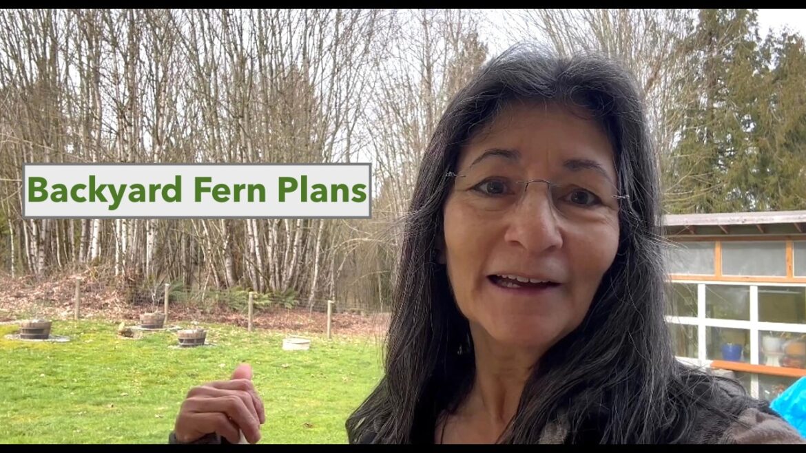 Backyard Fern Plans | Winter Garden Update