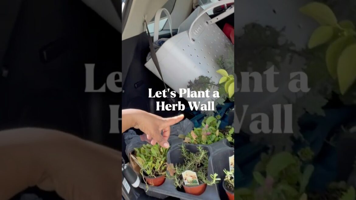 DIY Herb Wall #garden #ihavethisthingwithplants #herbs #containergardening DIY Herb Wall #garden #ihavethisthingwithplants #herbs #containergardening