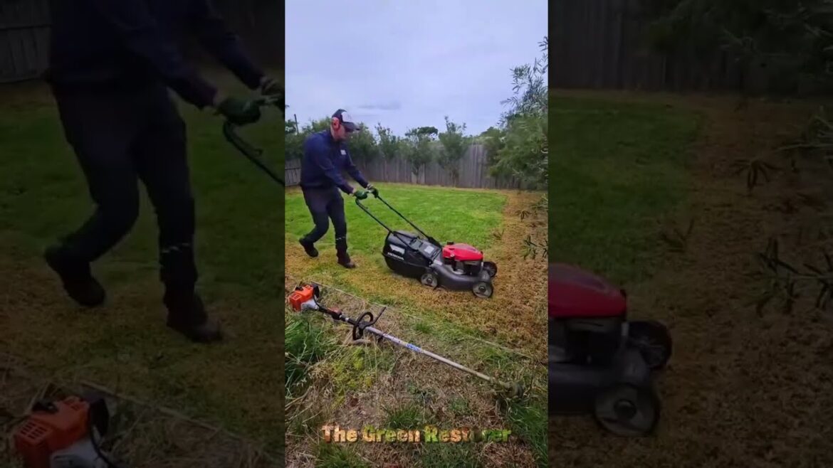 Pressure Washing  | Landscaping | Cutting | Mowing | Cleaning #shorts #satisfying #gardening