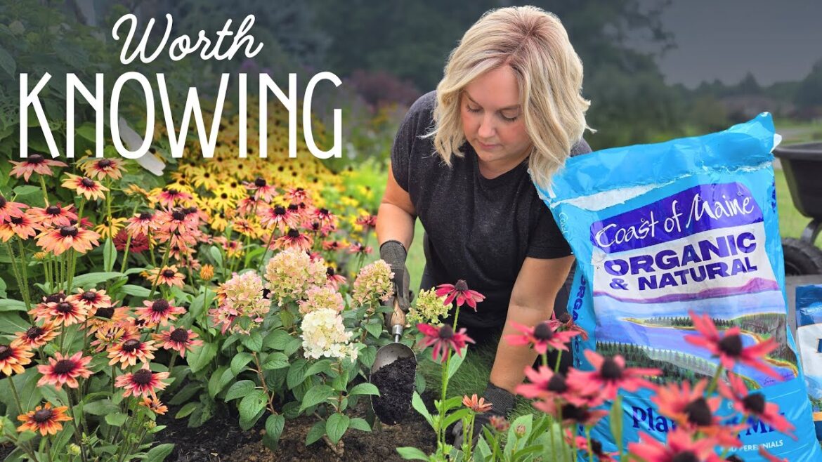 7 Smart Garden Planning Decisions That Make a Big Difference