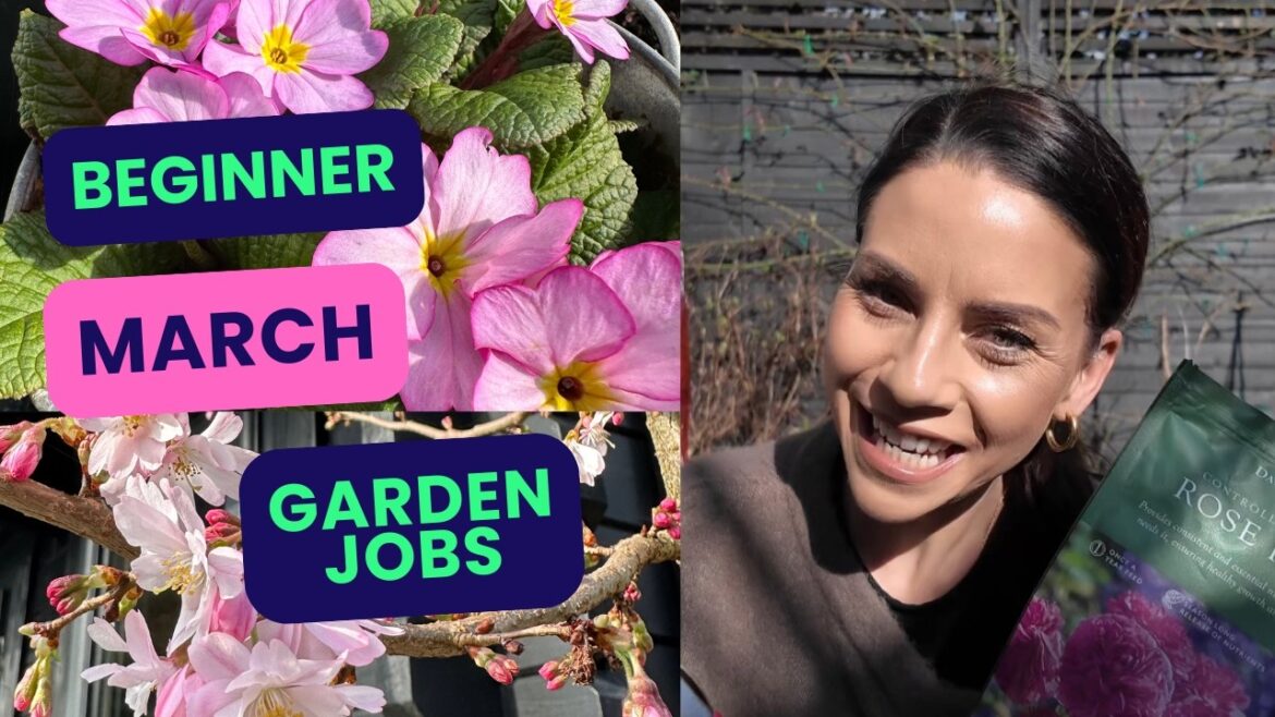 Beginner Garden Jobs For March – Part One Beginner Garden Jobs For March - Part One