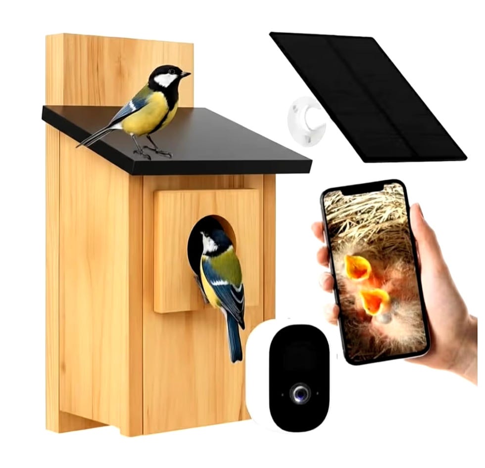 Smart Bird Box 