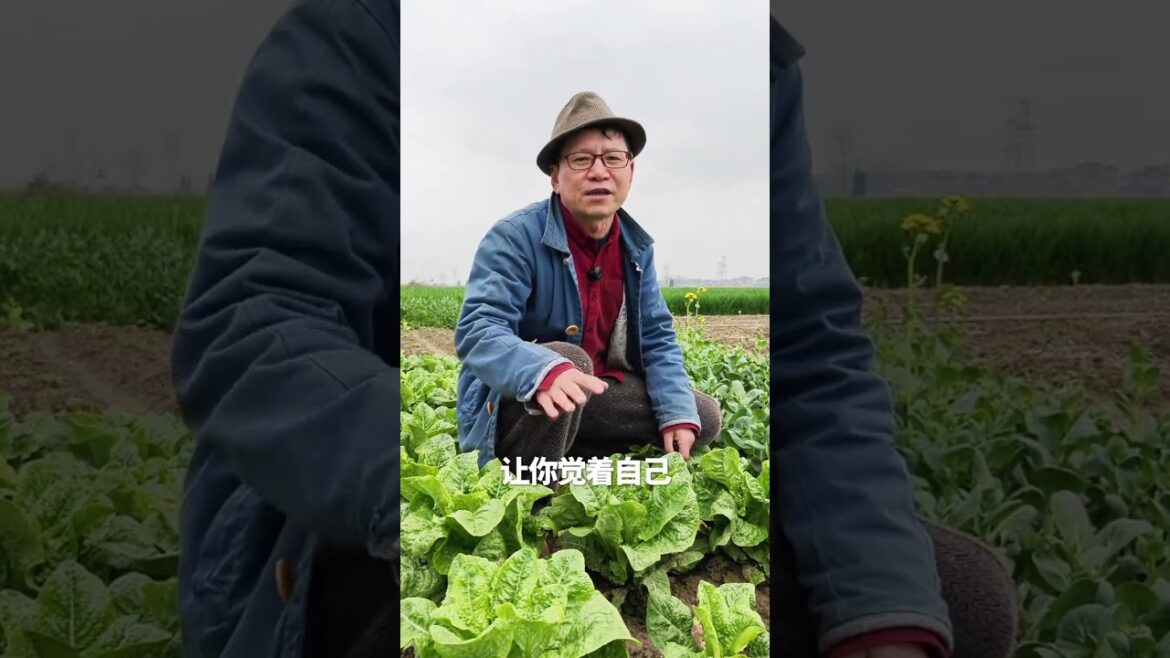 Outlive the Skies: How to Master Vegetable Gardening