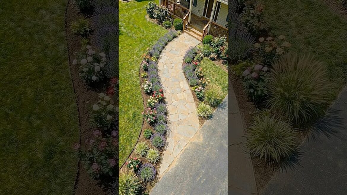 You Won’t Believe This Curved Modern Paver Walkway #garden #reels #transformation