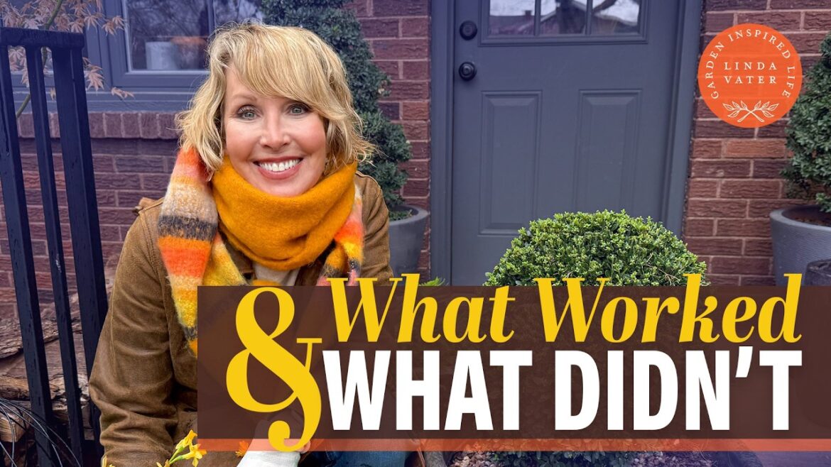 What Worked And What Didn’t In My Back Yard | Linda Vater 🌿 What Worked And What Didn't In My Back Yard | Linda Vater 🌿