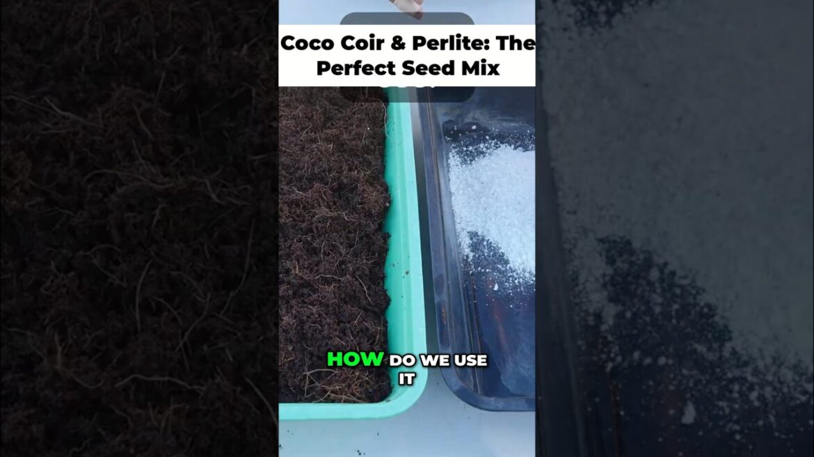 DIY Seed Starting Mix: The Secret to Perfect Seedlings! 🌱✨