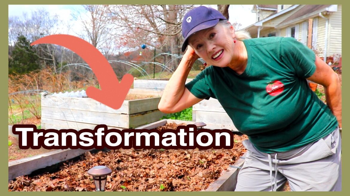 Planting STRAWBERRIES in Raised Bed | Planting PERENNIALS Part 1