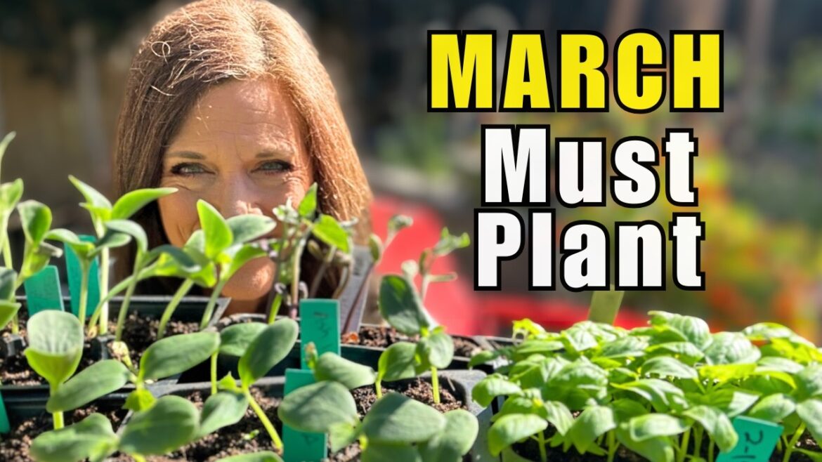23 March Must -Plant Vegetables (Any Climate)