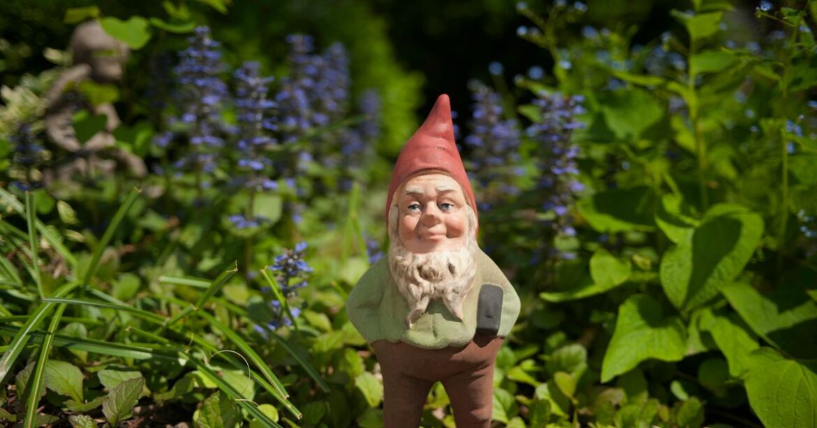 Neighbour dispute over garden ‘claimed with gnome’ settled at tribunal Neighbour dispute over garden 'claimed with gnome' settled at tribunal