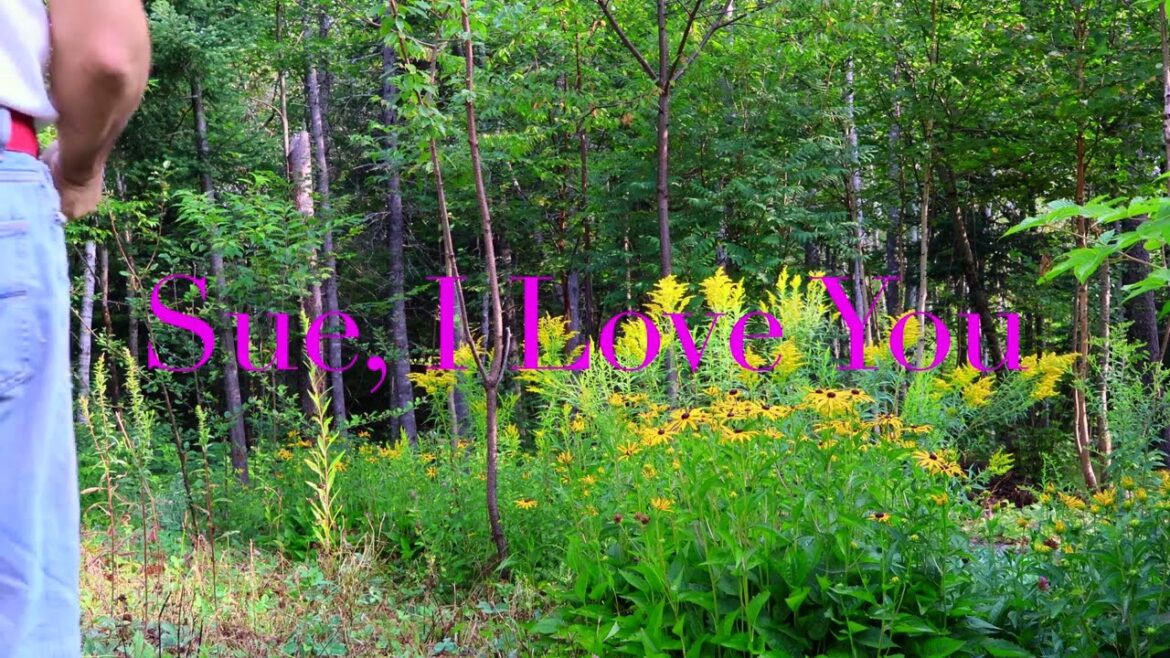 Sue, I love you. Flowers that bring me happiness :)