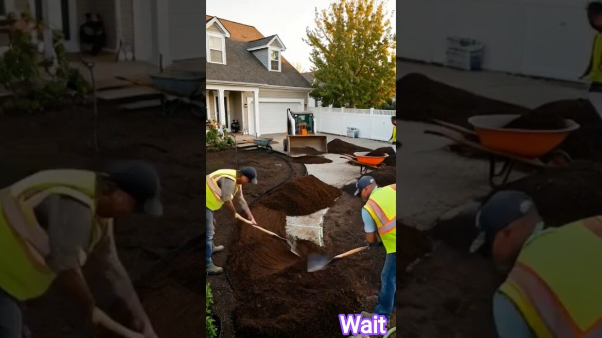House garden area repairing 😍 | #shorts #ytshorts