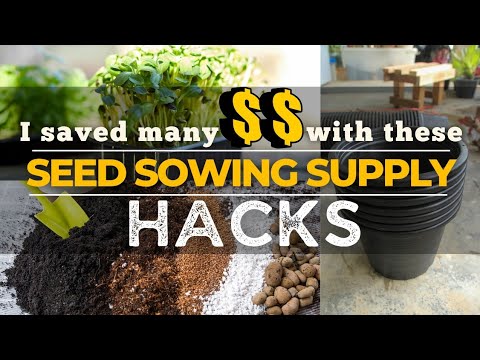 Budget Seed starting supplies & garden hacks for growing seedlings Budget Seed starting supplies & garden hacks for growing seedlings