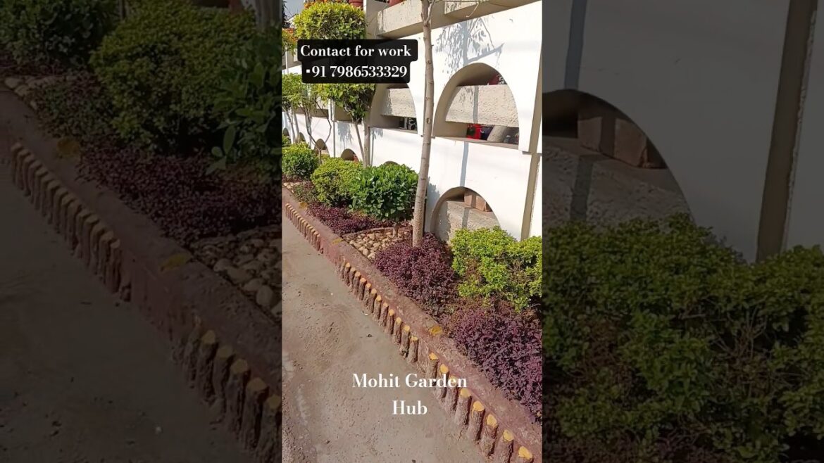 Greenery makes every place beautiful 🌿Garden Design #mohitgardenhub #gardendesign #plant #explore