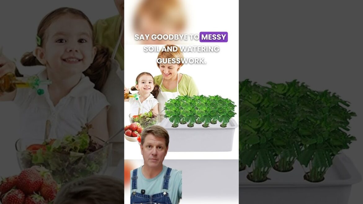 Grow 5x Faster with Hydroponic Garden Systems 🌿 Grow 5x Faster with Hydroponic Garden Systems 🌿