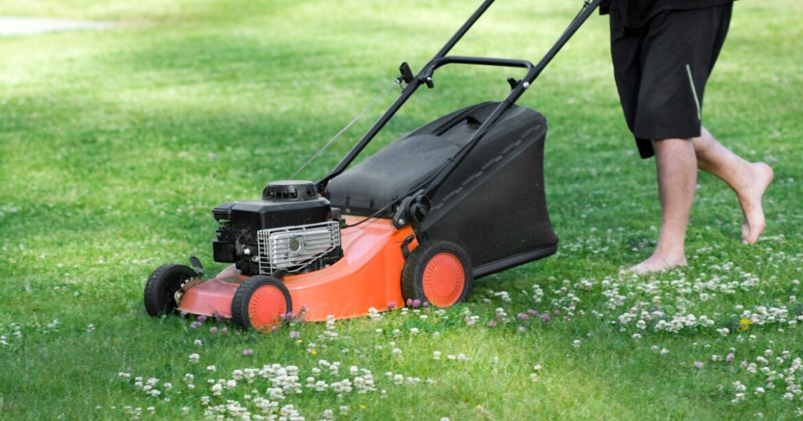When to first mow your lawn as the weather improves