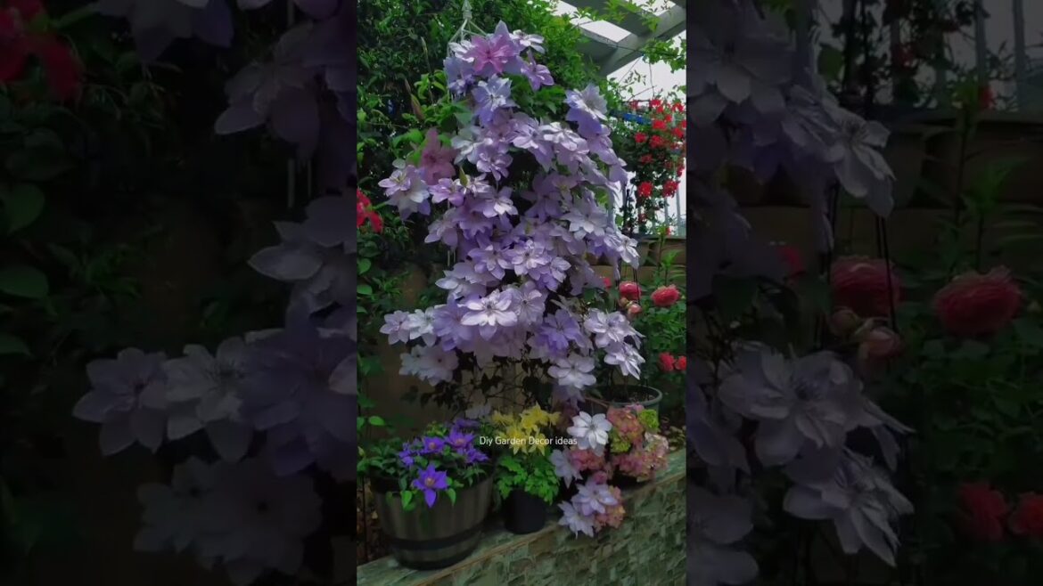 Modern Garden Decoration Ideas 🌼🌱#gardening #asmr #plants #flowers #trending #home #garden