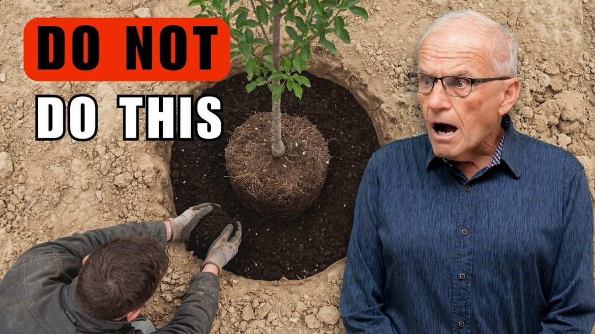 10 Landscaping Myths You Still Believe (Stop Doing These!) 10 Landscaping Myths You Still Believe (Stop Doing These!)