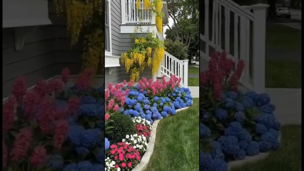 Front Yard Flower Bed Transformation | Creating a Stunning Garden” 🌸