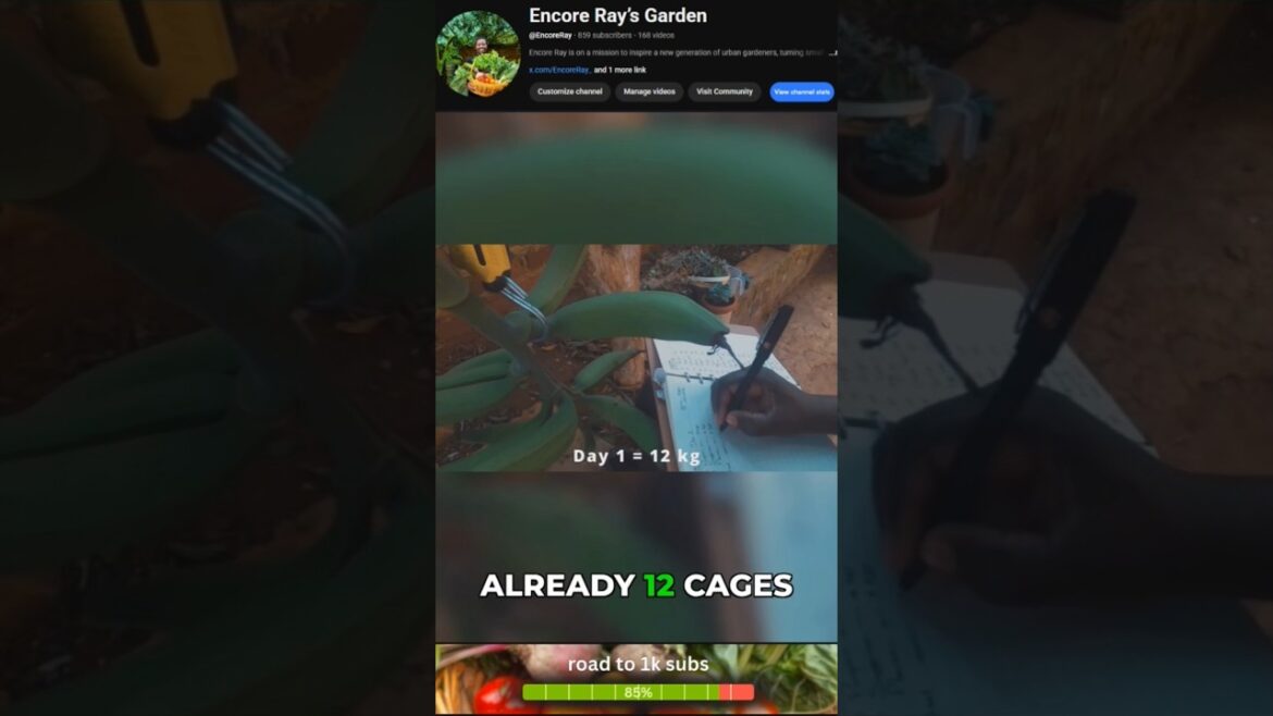 12 Kilos From a City Plot?! 😳 Urban Farming + Herb #hacks #gardening #tips #shorts