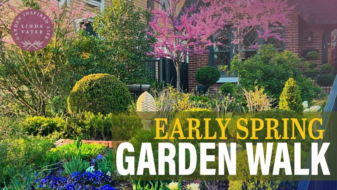 Early Spring Garden Walk | Linda Vater 🌿 Early Spring Garden Walk | Linda Vater 🌿