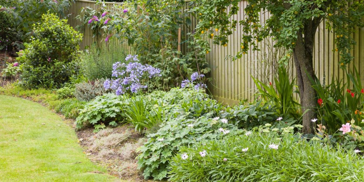 3 Timely Garden Tasks To Do Now Before Spring Arrives