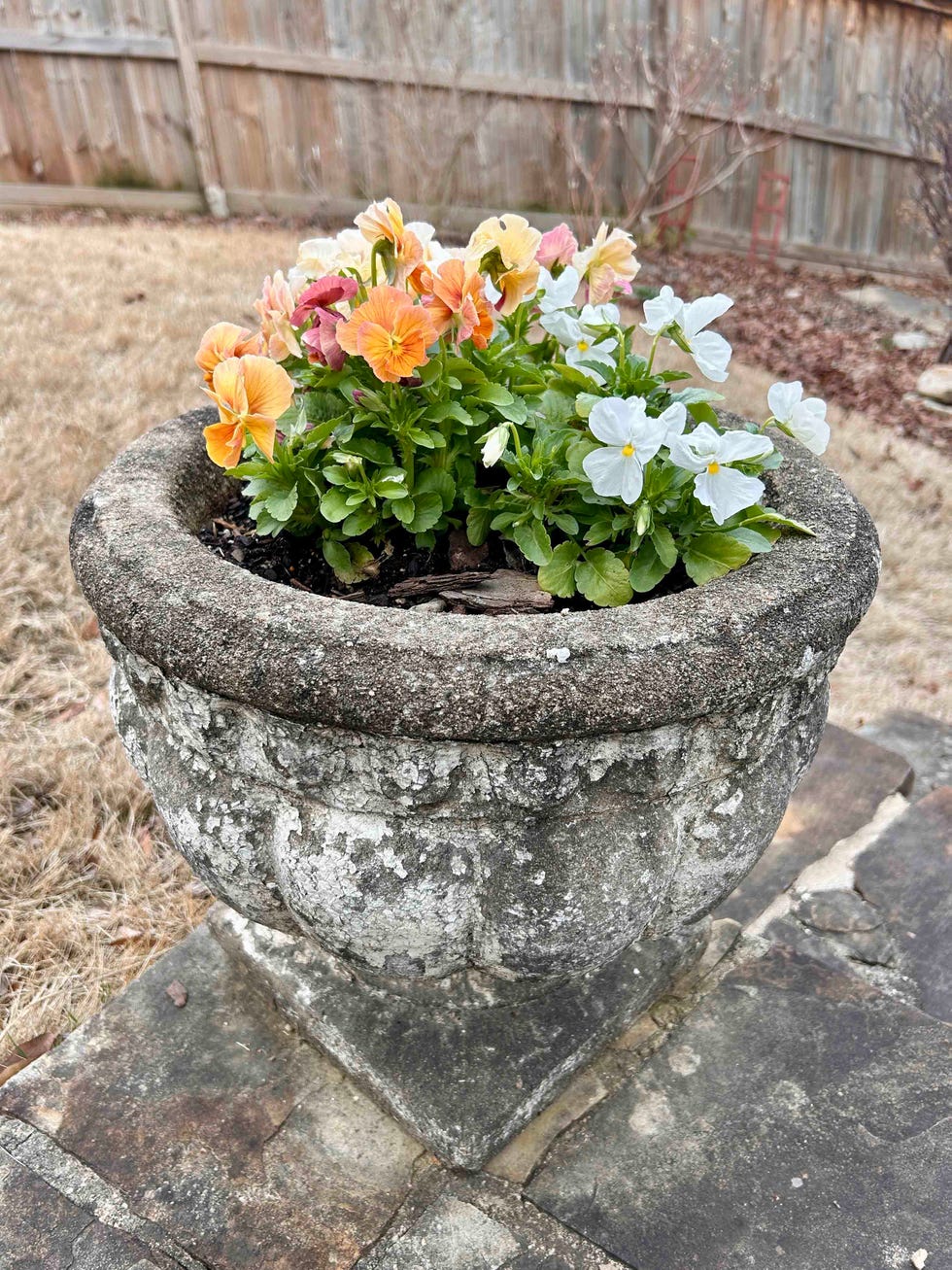 Planter with colorful flowers in a garden setting