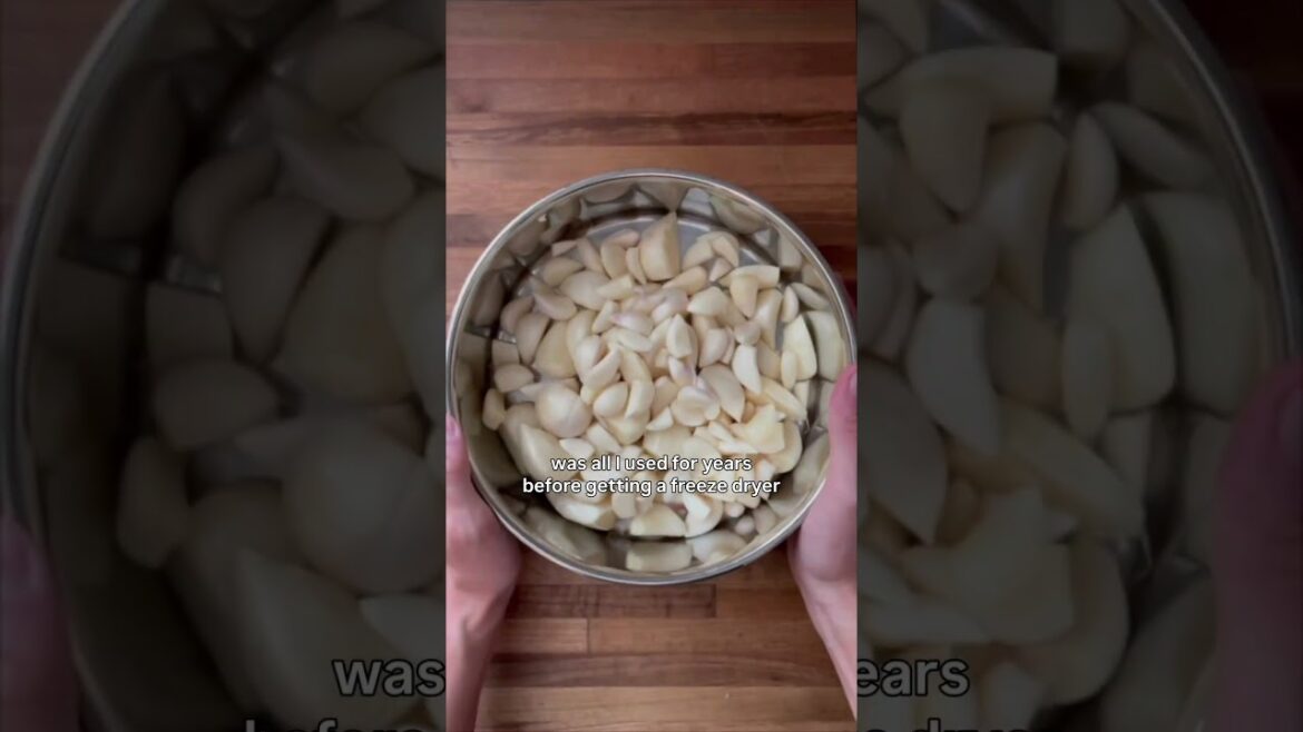 Easiest way to start preserving your food!  #gardening #growyourownfood #preservingfood