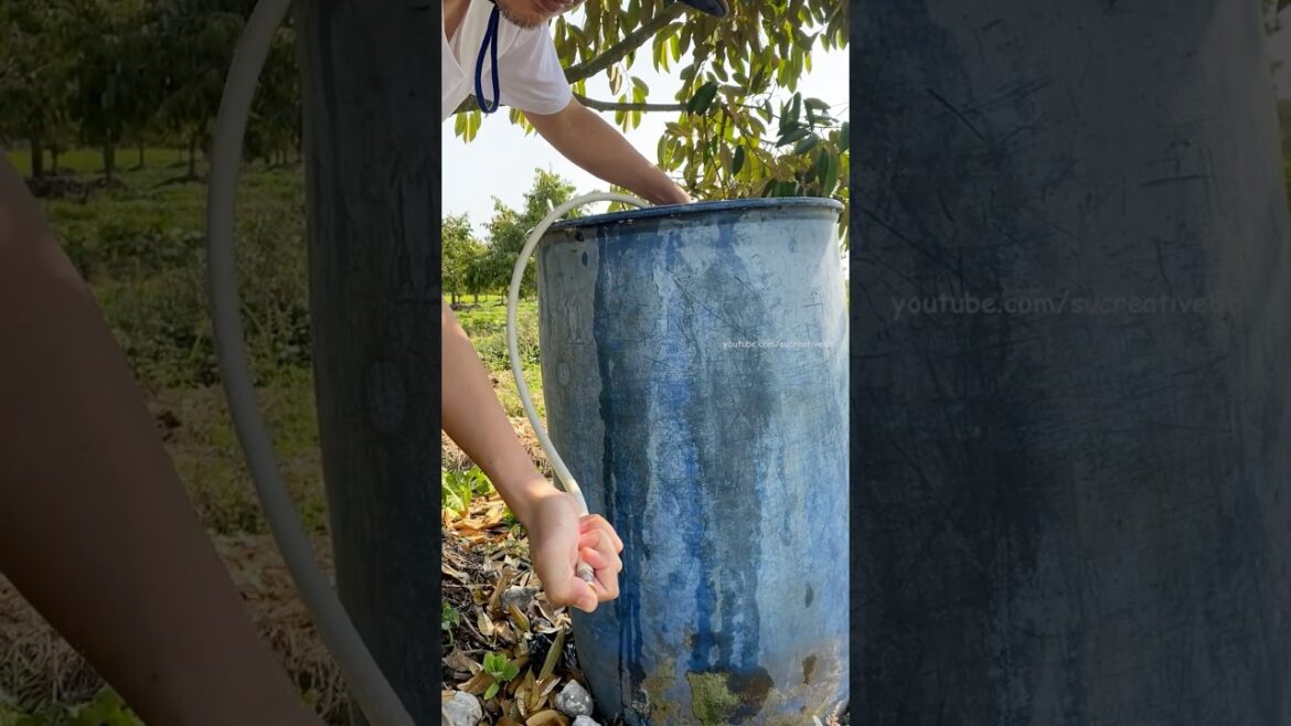 A gardener’s secret trick #tricks #lifehacks #tips #diy #shorts