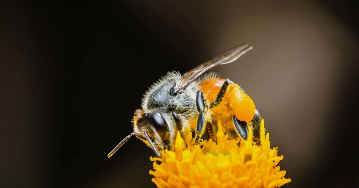 Gardening expert says 1 job can be ignored in March