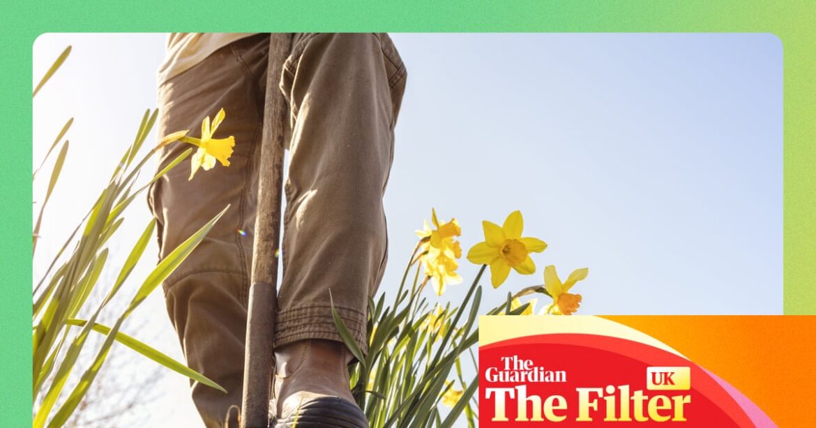 Ready, set, grow! How to refresh your garden for spring | Gardens