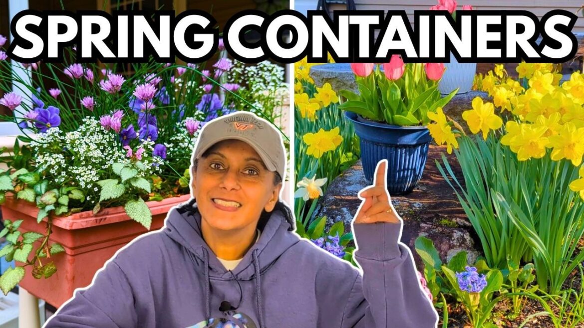 Stop Overpaying for Spring Containers! | My 5 Favorite "Free" Plant Recipes