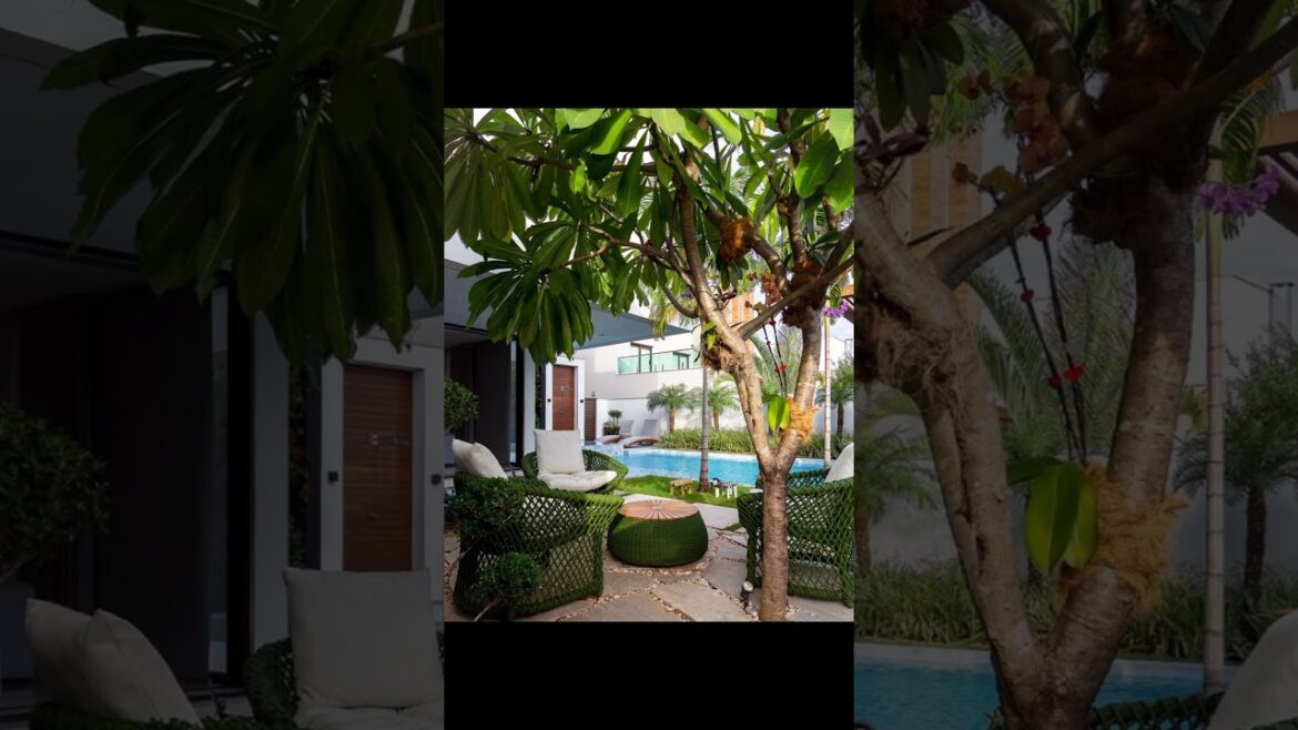 garden design,small garden,garden ideas,garden,small garden design,garden design ideas,small garden