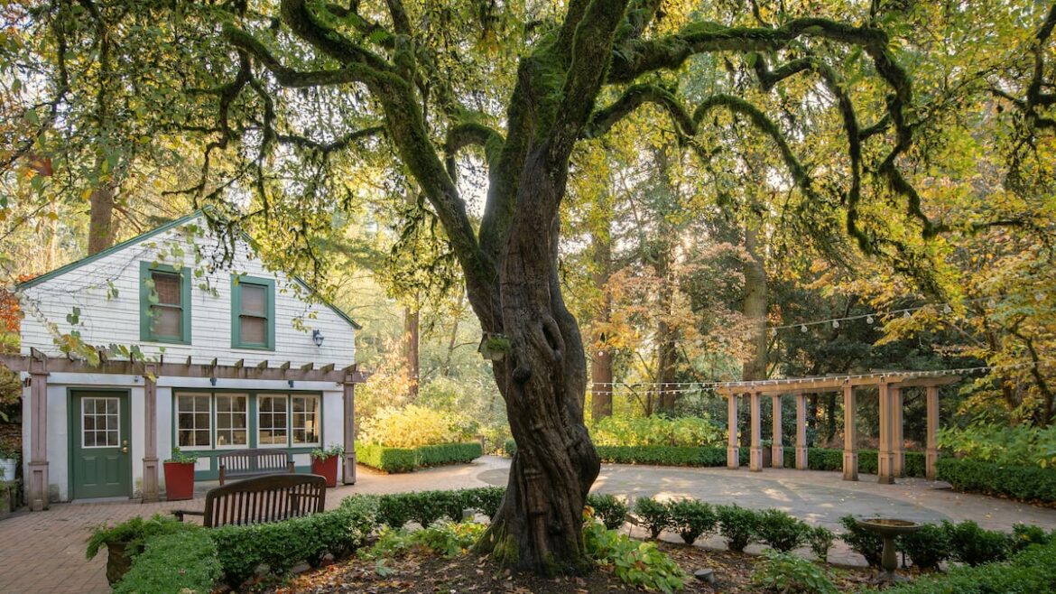 Leach Botanical Garden meets short-term fundraising goal