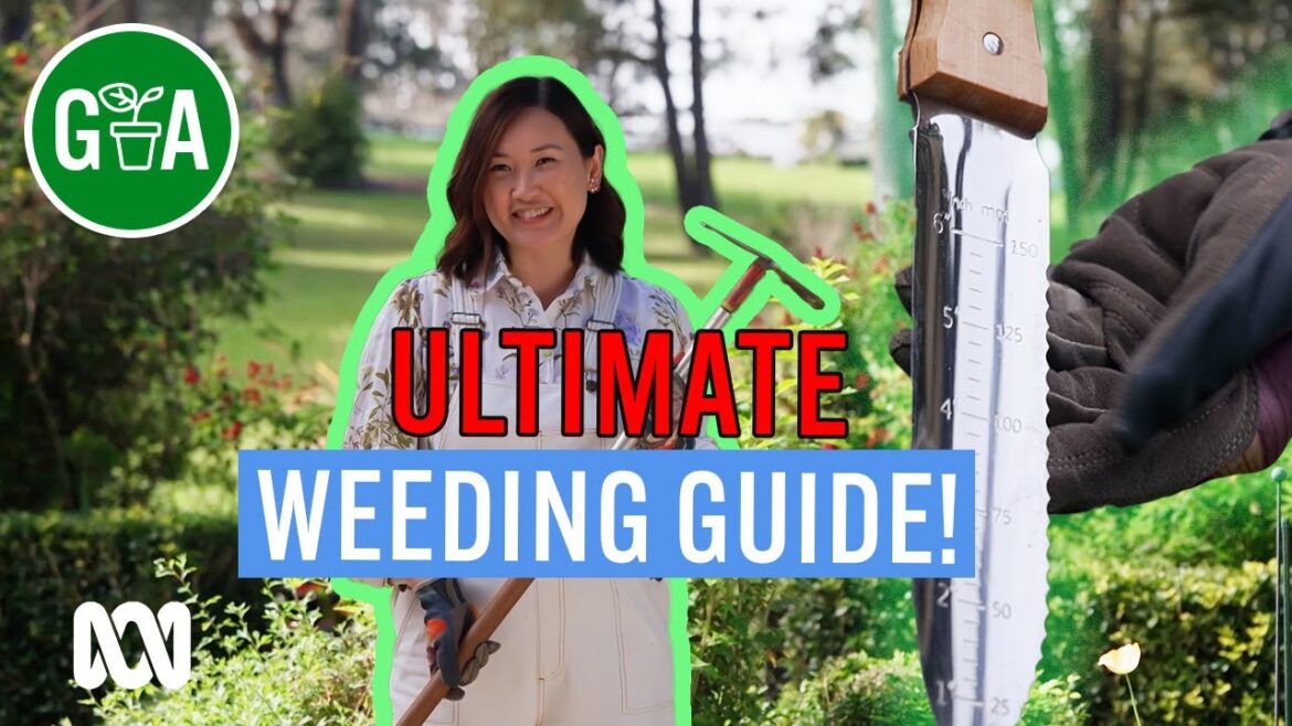 Best Weeding Tools for Gardens | Gardening 101 | Gardening Australia