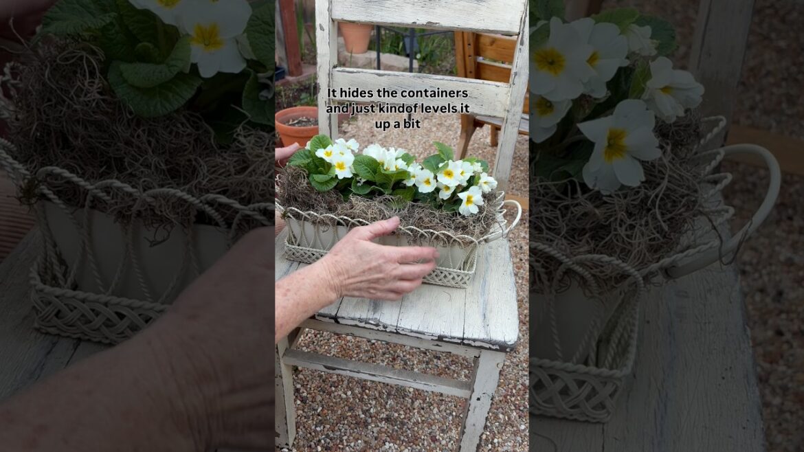 Preparing for Easter to plant and celebrate. #gardentips #gardenideas #gardencontainers