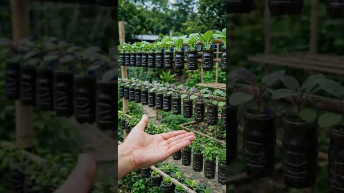 DIY Hanging Planters from Recycled Plastic Bottles ♻️ #farminglife #farming