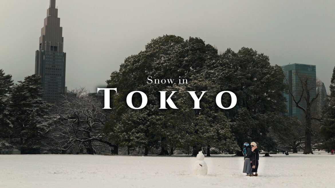When Tokyo Turns White | Shinjuku to Shibuya | Tokyo Vlog When Tokyo Turns White | Shinjuku to Shibuya | Tokyo Vlog