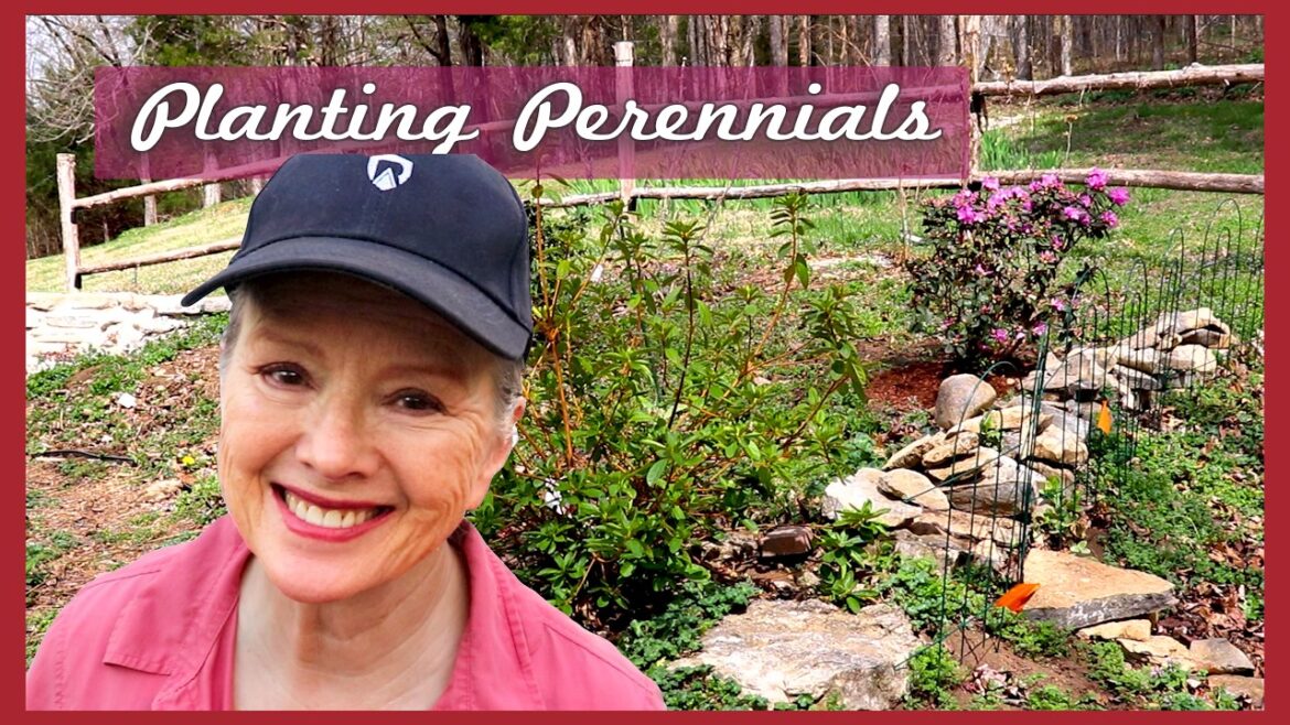 Kaye Kittrell: Planting PERENNIALS – Part 2 |Getting the Gardens Ready Planting PERENNIALS - Part 2 |Getting the Gardens Ready