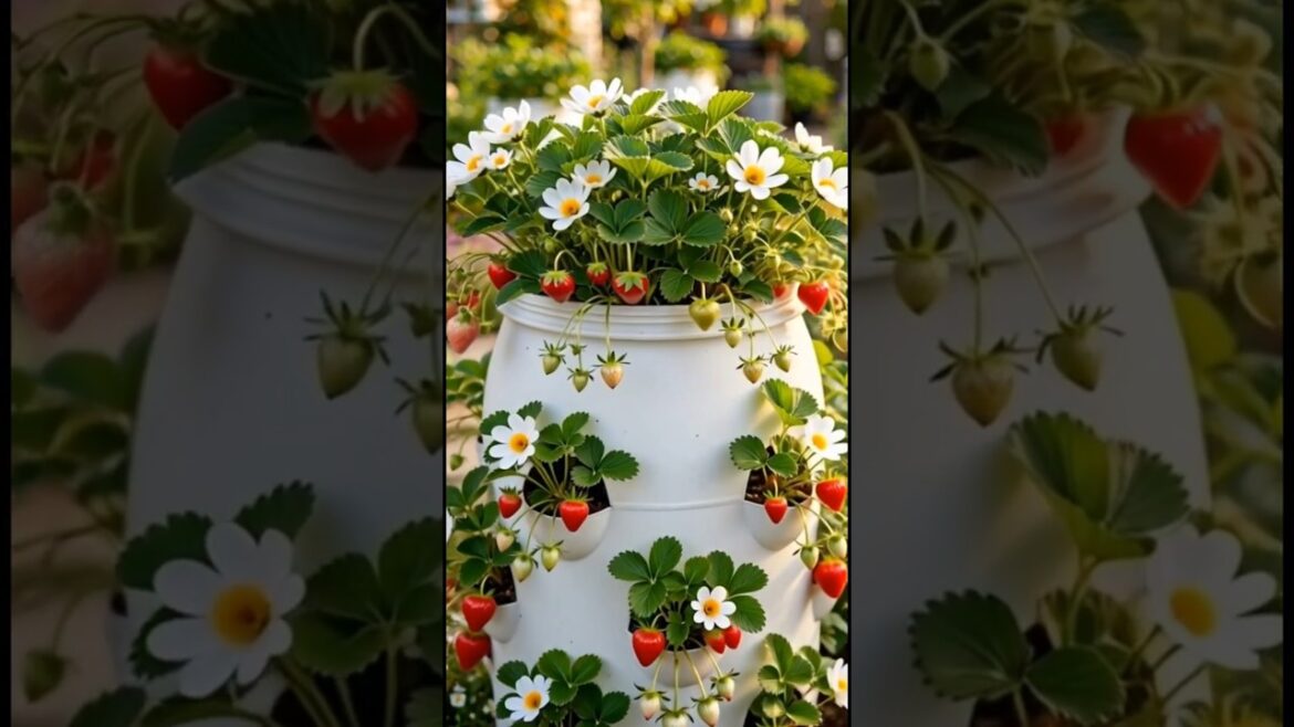 This Tiered Planter Solves Every Gardener's Problem #gardening #DIY #homestead #strawberry