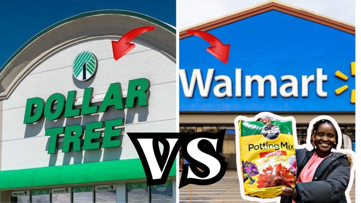 Dollar Tree vs Walmart 2026 Spring Garden Center Prices | Seeds, Soil & Supplies Compared! | DEALS! Dollar Tree vs Walmart 2026 Spring Garden Center Prices | Seeds, Soil & Supplies Compared! | DEALS!