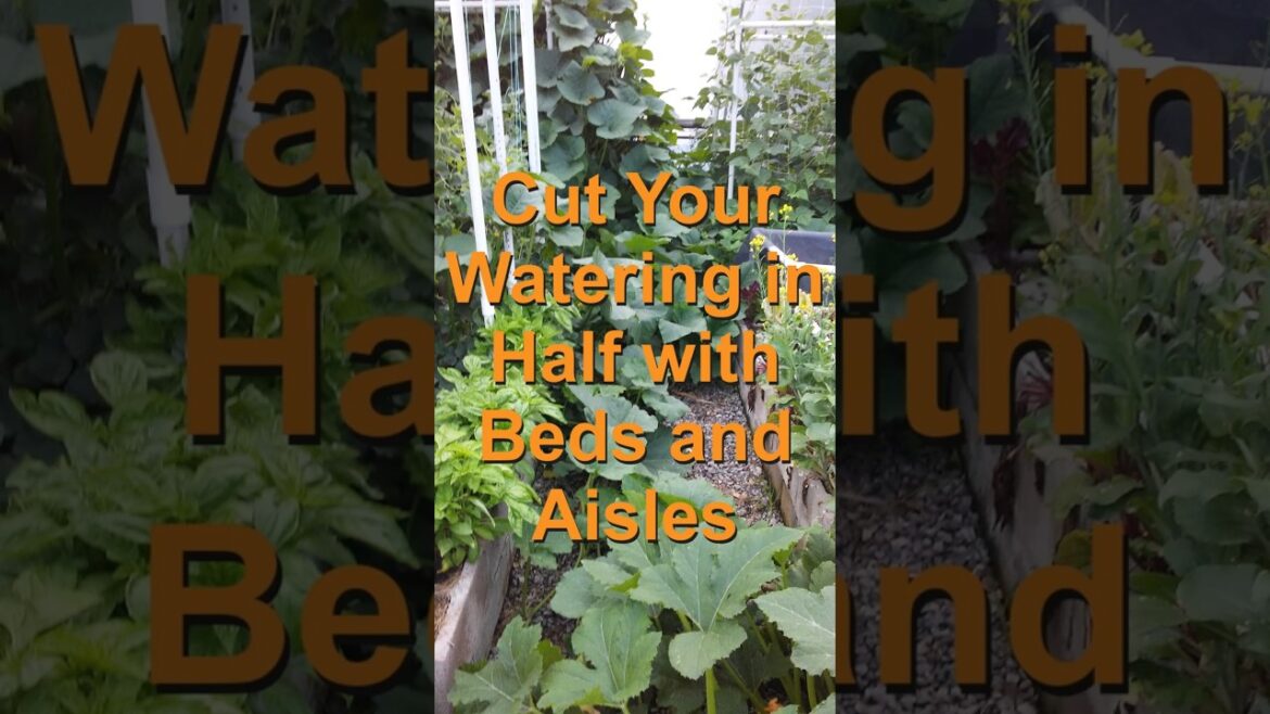Cut You Watering in Half with Beds and Aisles #raisedbedgardening #easygardening Cut You Watering in Half with Beds and Aisles #raisedbedgardening #easygardening