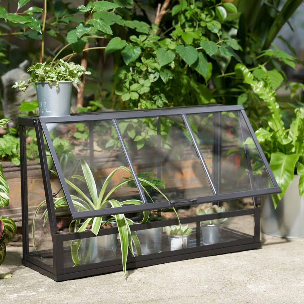 Akerbar Greenhouse Akerbar Greenhouse