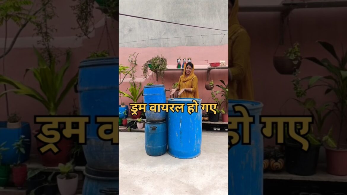 वायरल नीला ड्रम से बनाएं सुंदर पॉट 🥳😳😱#poojagarden #youtube #shorts #ytshorts