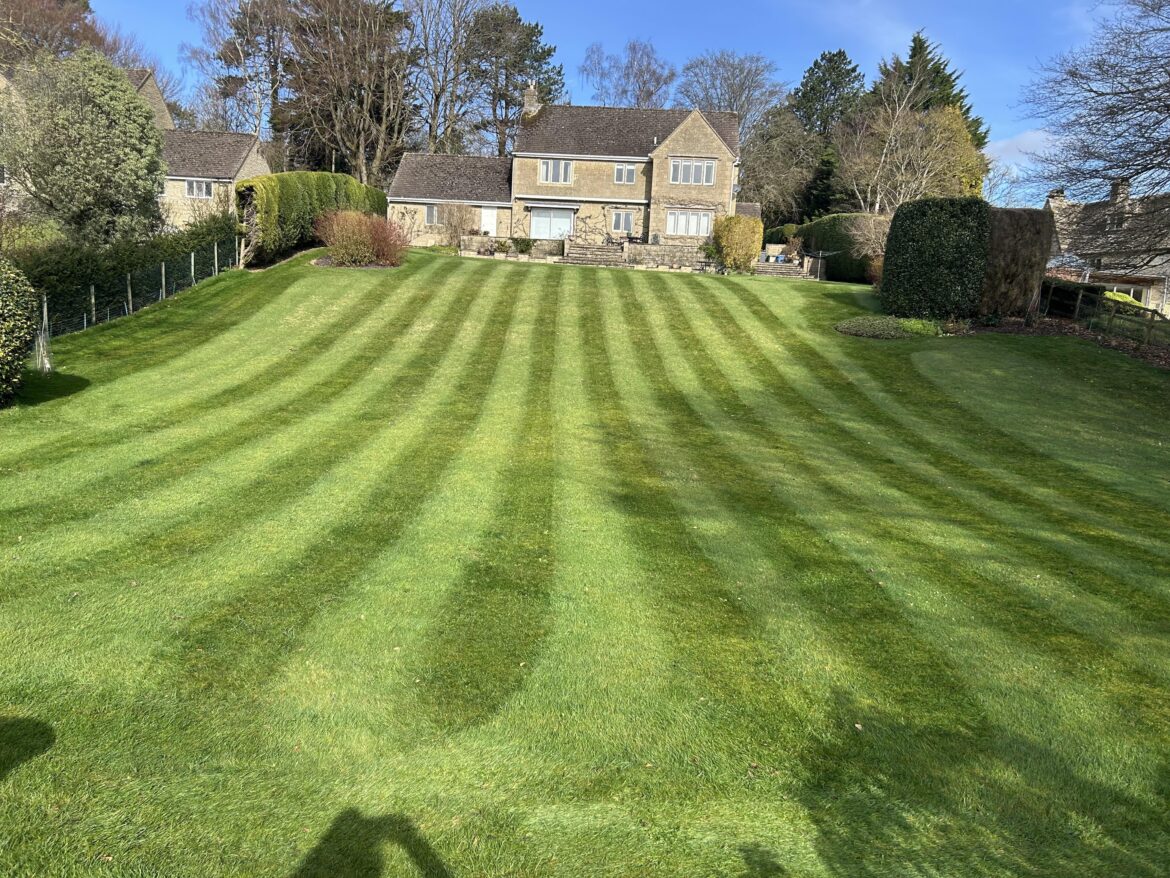 Happy stripey lawn day.